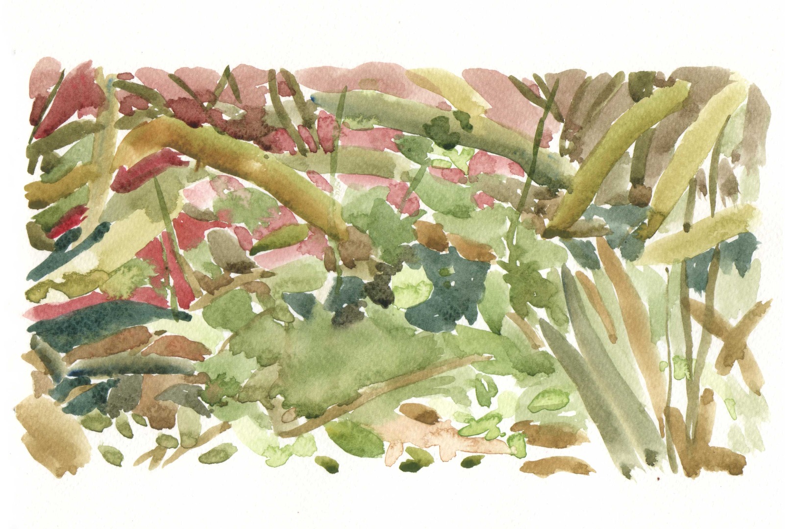 Aproximaciones en rojo